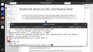 Lab05: SEED 2.0 Shell shock Attack Lab Part 2