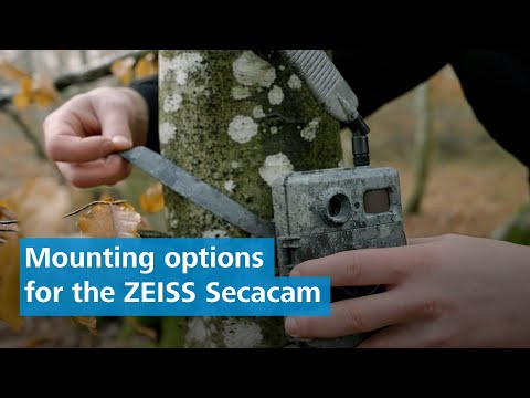 How do I securely mount my ZEISS Secacam in the hunting ground?