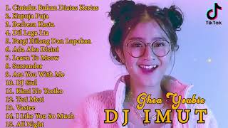 Download Lagu DJ IMUT  Full Album 2020  DJ TIK TOK SANTUY TERBARU 2020  Hits MP3