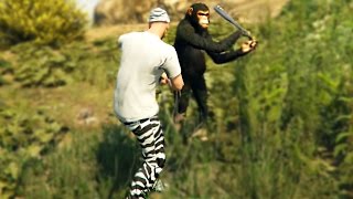 Gta 5 Funny Moments Gta V Fails And Random Gameplay Moments