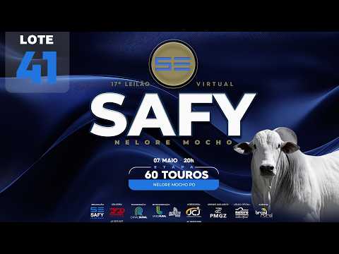 LOTE 41   SAFY 1568