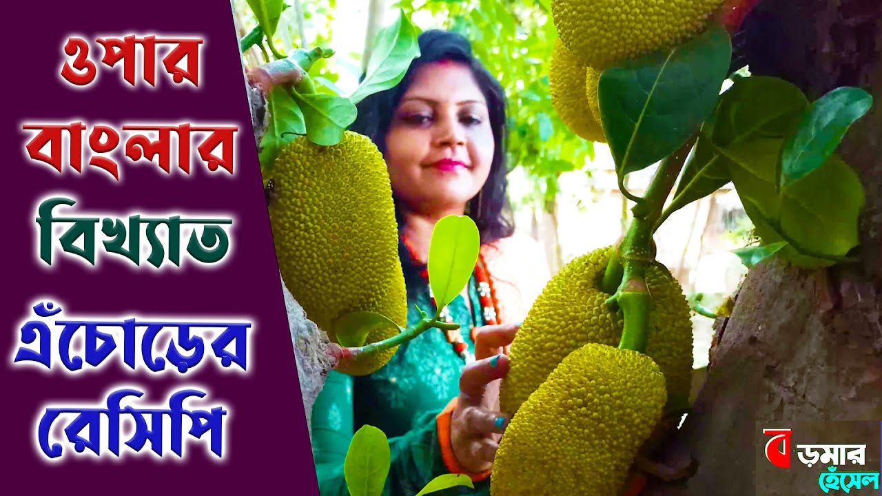 ওপার বাংলার এই বিখ্যাত রেসিপি একবার খেলে এর স্বাদ মুখে লেগে থাকবে || Boromar Hensel