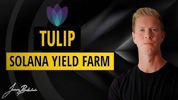 Tulip Protocol | Yield Farming On Solana