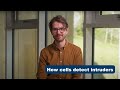 How Cells Detect Intruders Dr Adam Fletcher How Cells Detect Intruders Dr Adam Fletcher