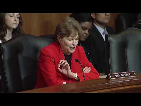 Shaheen Questions Army