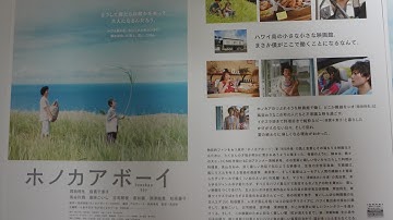 ホノカアボーイ (2009)映画チラシ 岡田将生 倍賞千恵子 長谷川潤