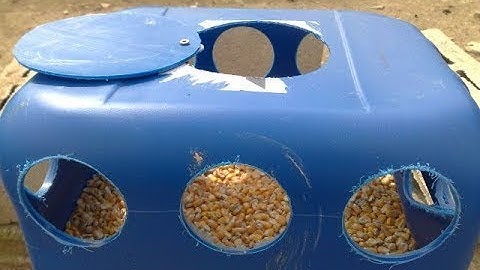 Los Mejores Comederos Para Tus Gallinas, Gallos y Aves - Ideas Luis Alberto