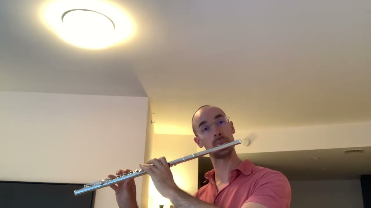 Mahler - Symphony No. 10 Mvt. V