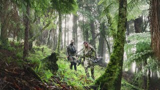 Bowhunting New Zealand’s Wild Goats