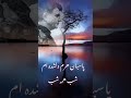 استاد محمد رضا شجریان پاسبان حرم دل شده ام