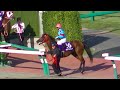 2013　09/29 スプリンターズステークス(ＧＩ) 本馬場入場 現地映像　ハクサーンムーンぐるぐる