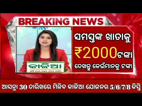 Kalia Yojana 6/7/8 Instalment ₹2000 Release To Day // Kalia Yojana New List 2022//Biju Pakkaghar2022