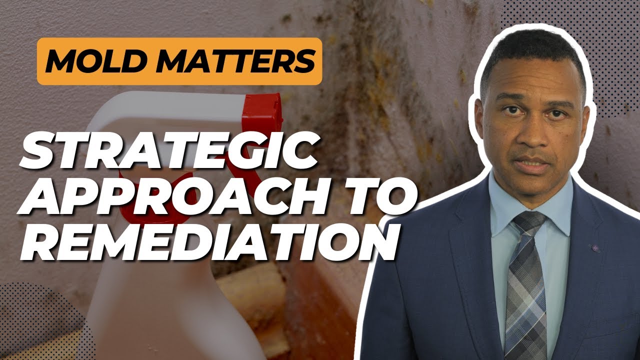 Addressing Mold Issues Landlords' Guide to Proactive Remediation YouTube