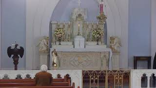 Thursday 8 AM Thursday Daily Traditional Catholic Mass 07/16/2026