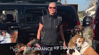 High Performance K9 Training - HD 720p