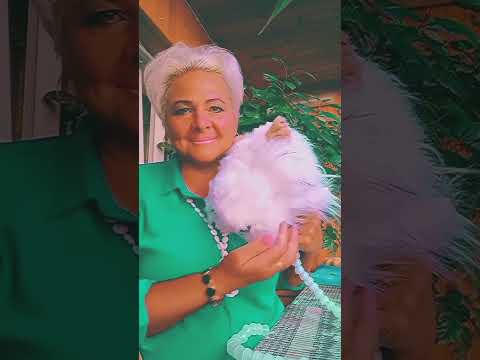 Подвижные мягкие игрушки своими руками #shortsvideo #звери #igrushka