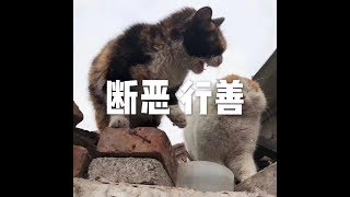 201607 断恶 行善25381