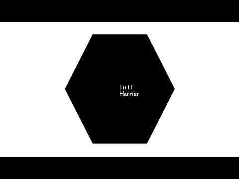 1tt11 - Harrier