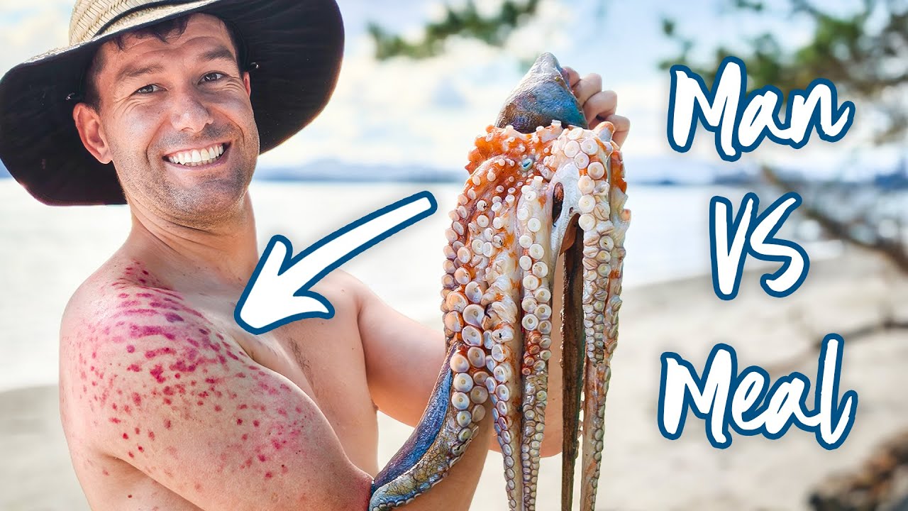 ATTACKED by an OCTOPUS | Foraging Coastal New Zealand, Catch and Cook