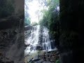 Agumbe Karnataka Agumbe Visit Karnataka Sirimane Falls Monsoon Rain
