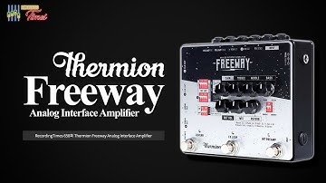 [RecordingTimes 658회] Thermion Freeway Analog Interface Amplifier