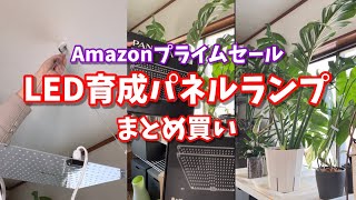 Buy growing panel lamps in bulk during the Amazon Prime sale
