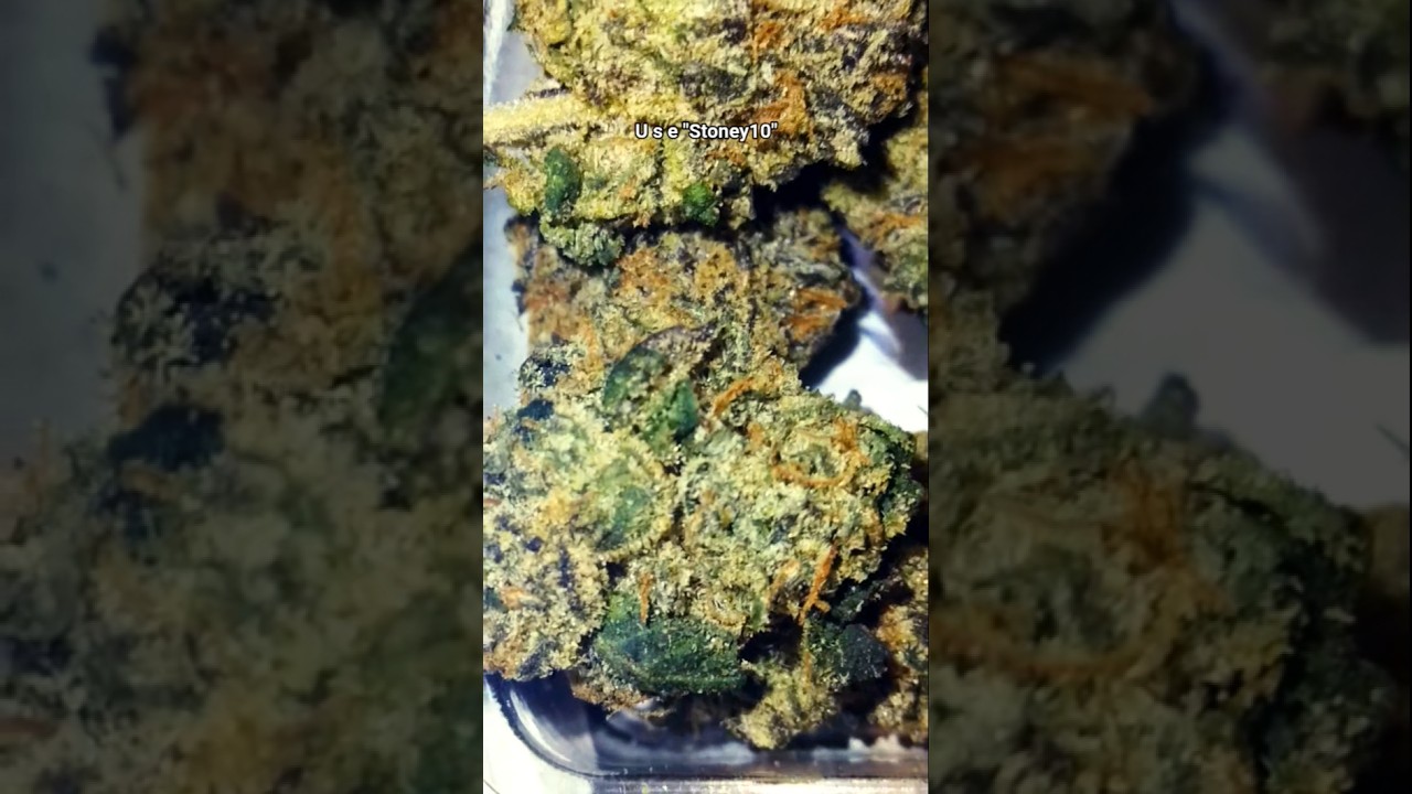 Zerbert PREMIUM Thca Flower from SHOPHELLOMARY 