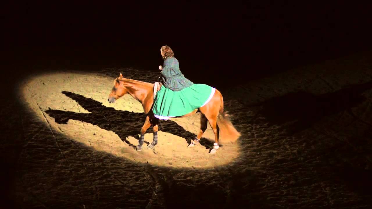 Equine Affaire 2015 Fantasia Amazing Grace