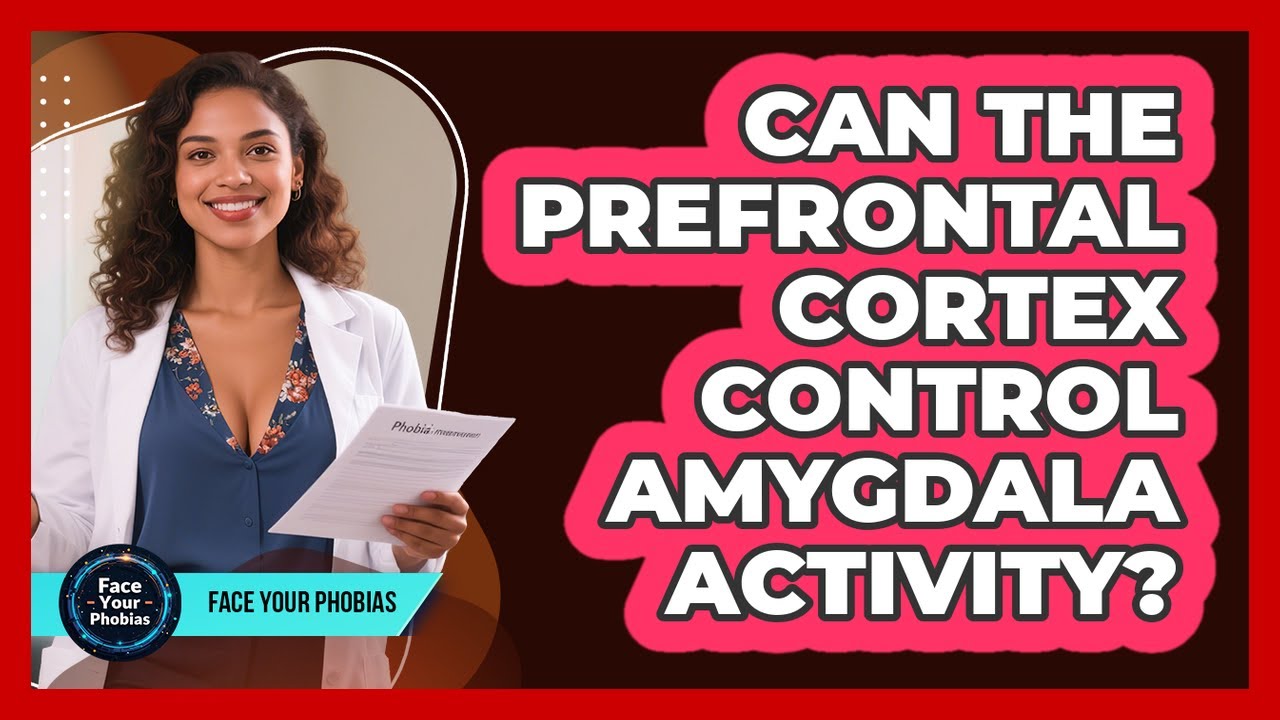 Can The Prefrontal Cortex Control Amygdala Activity? - Face Your ...