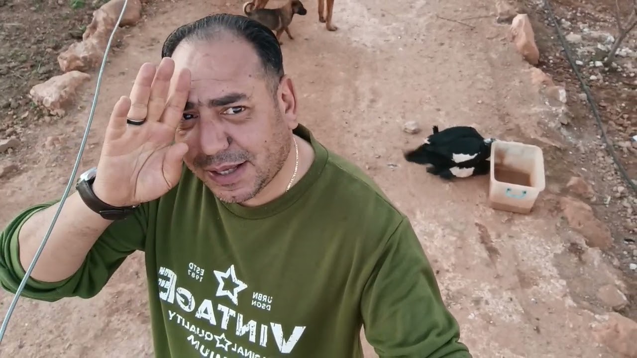 مزرعة بلادي🏞️اليوم الرابع من رمضان💯اجواء الافطار معى مول العصير😋