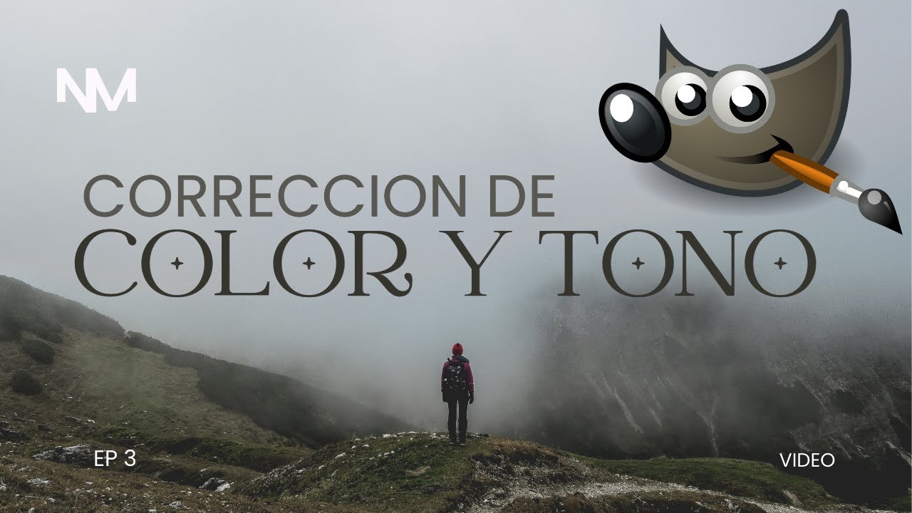 CORRECCION DE COLOR Y TONO/ GIMP