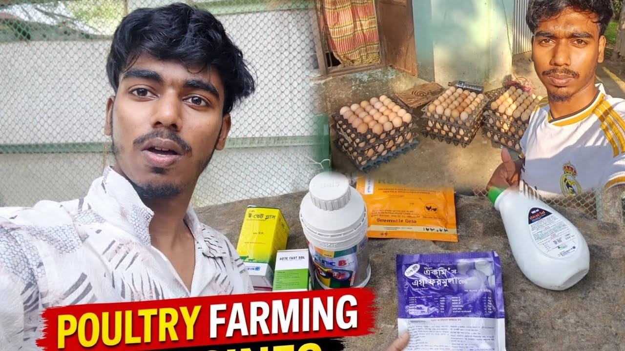 মুরগির খামার করলে প্রতি মাসে কত টাকার ওষুধ লাগে দেখুন? 