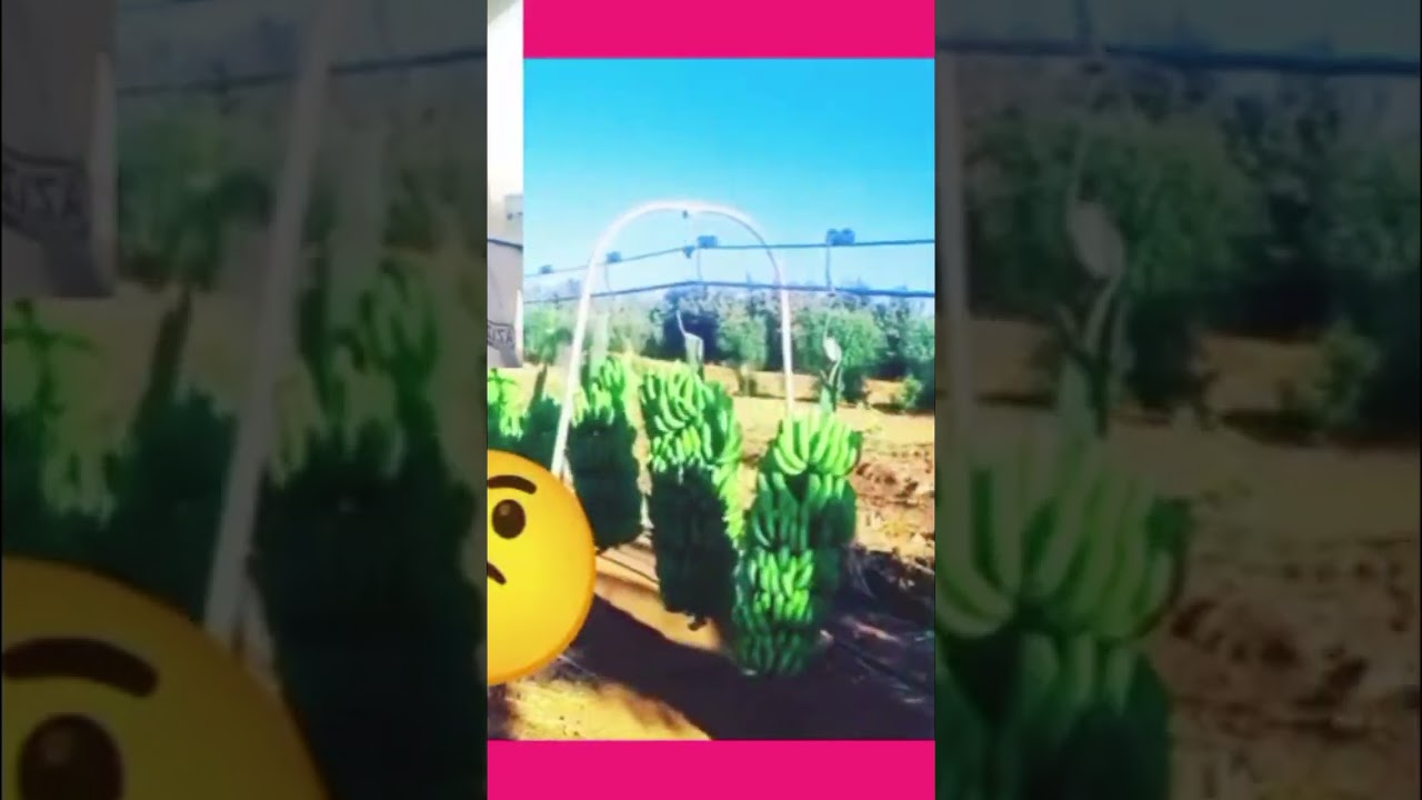 Amazing facts about life hacks technology video 