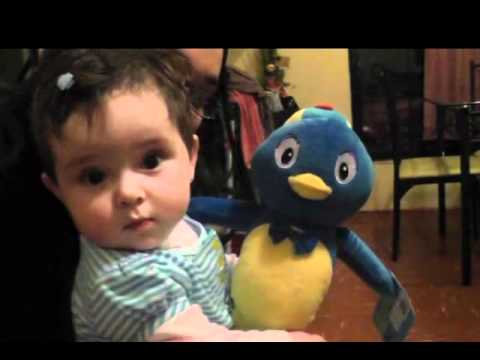 Sorpresa Y Festejo La Intimidad Del Cumpleaos De Laurita