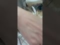 現場仕事の旦那と大学生に作る簡単弁当【厚焼きたまごとウィンナーとおにぎり】#shorts #40代主婦