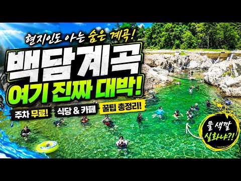 【강원도 백담계곡】주차비 0원 꿀팁 공개! 수심 4m 명당자리까지 완벽정리