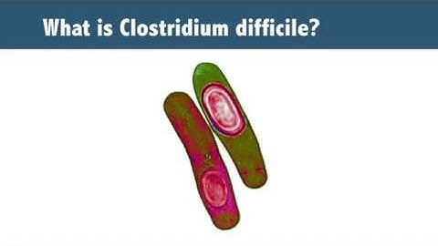 6.1 Epidemiology of C difficile