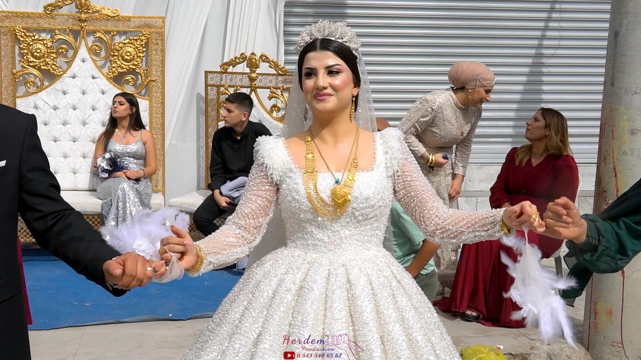 Serkan Çamik - Süleyman Zuhal Wedding #part2