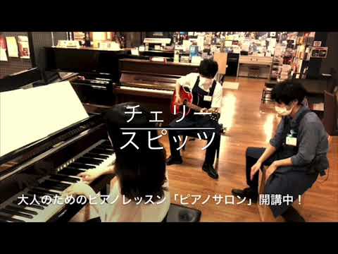 スタッフによる演奏動画　【チェリー／スピッツ】 ピアノ×アコギ×カホン