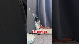 Какие планы на выходные?🤗