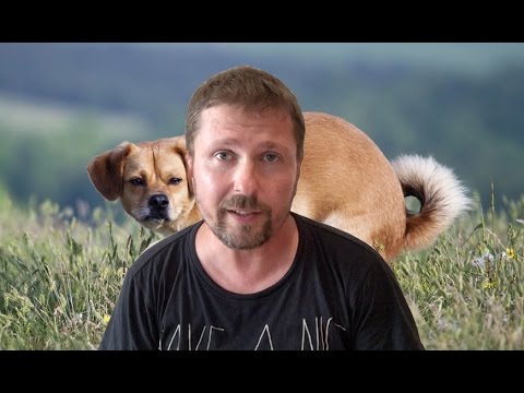 Eurovision. Kyiv. Dog sh*t.