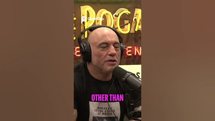 Joe Rogan  Jiu Jitsu, Taekwondo, and Never Losing Identity