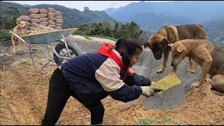 Vietnamese Girl Builds Fish Pond With 2 Smart Dogs - Ha Thi Muon Resimi