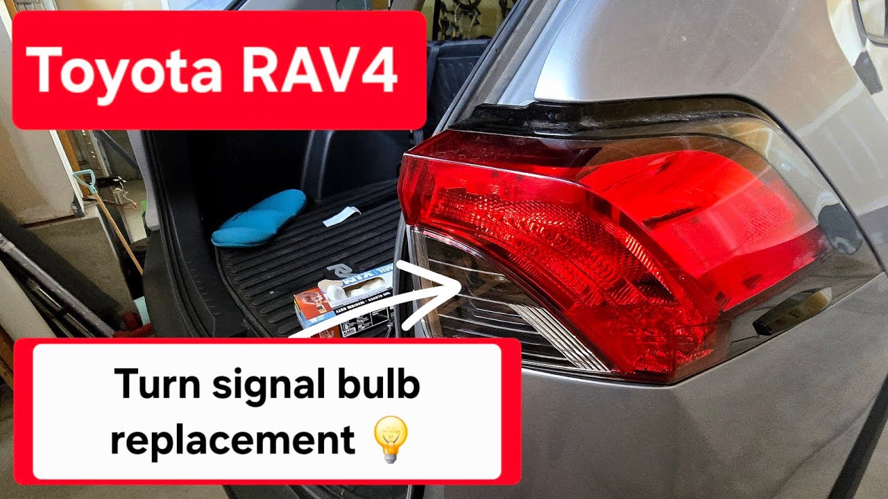 Toyota rav4 rear turn signal bulb 💡 replacement this works for year ...