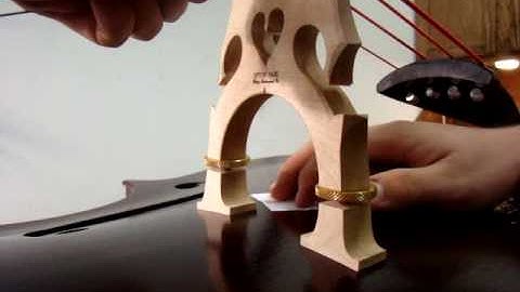 Straighten Double Bass Bridge Video