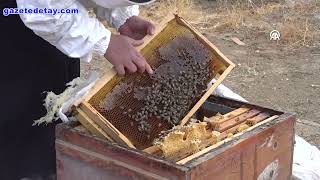 Sunay Tokuş 30 Kovandan 4 Ton Bala Ulaştı