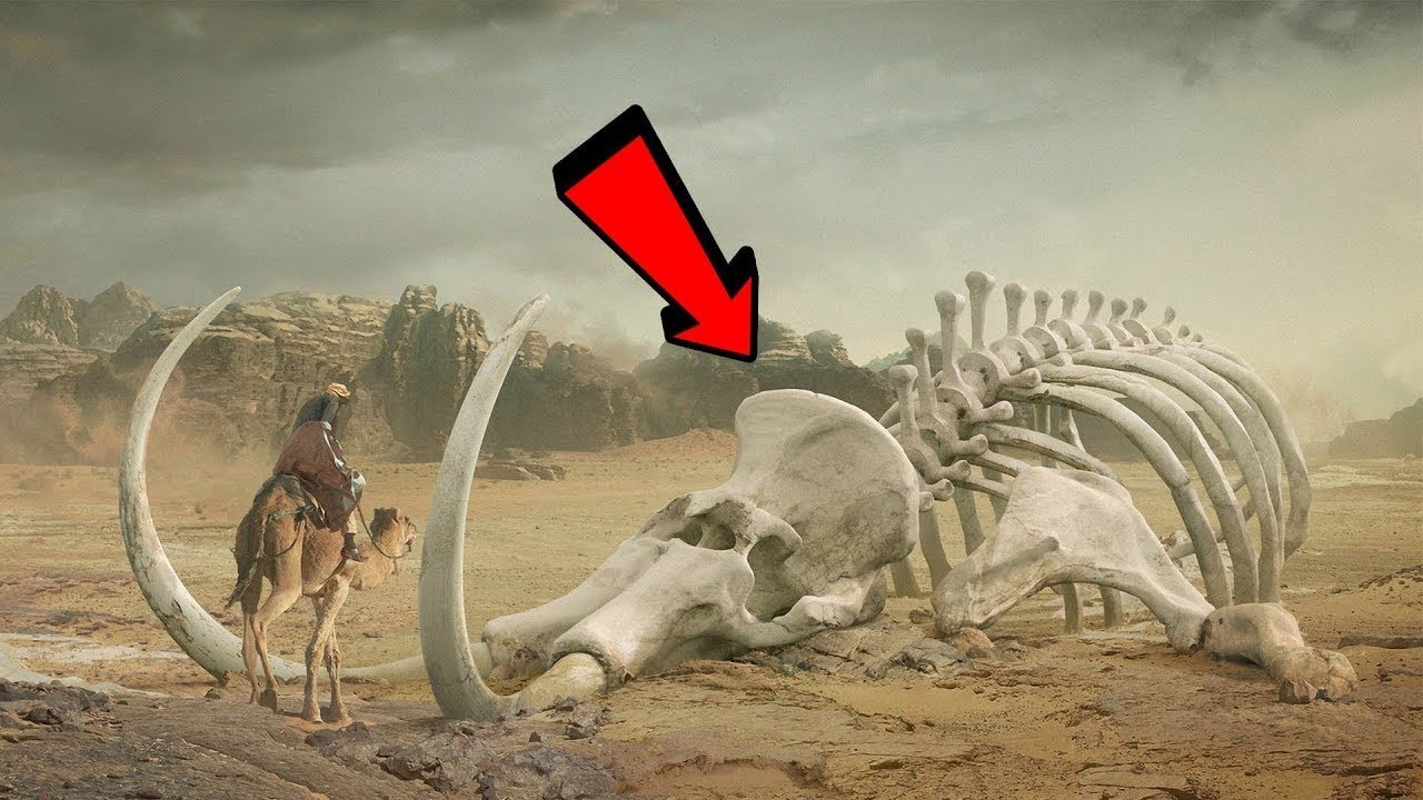 សត្វនៅសម័យបុព្វកាលដែលសាហាវជាងដាយនូស័រ