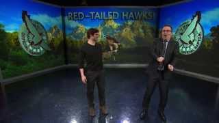 RedTailed Hawks: Last Week Tonight with John Oliver (HBO)