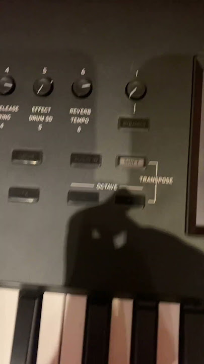 Korg Nautilus 73 Key Workstation #korg #korgnautilus