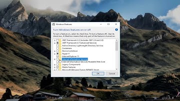 How to Install Internet Information Services In Windows 10 [Tutorial]